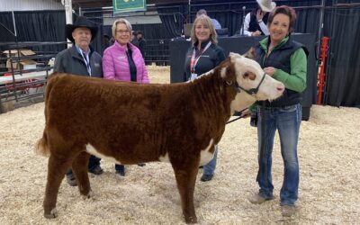 Chris & Tina Lees’ Story